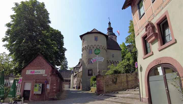 droge witte wijnen uit de Tauberfranken-regio