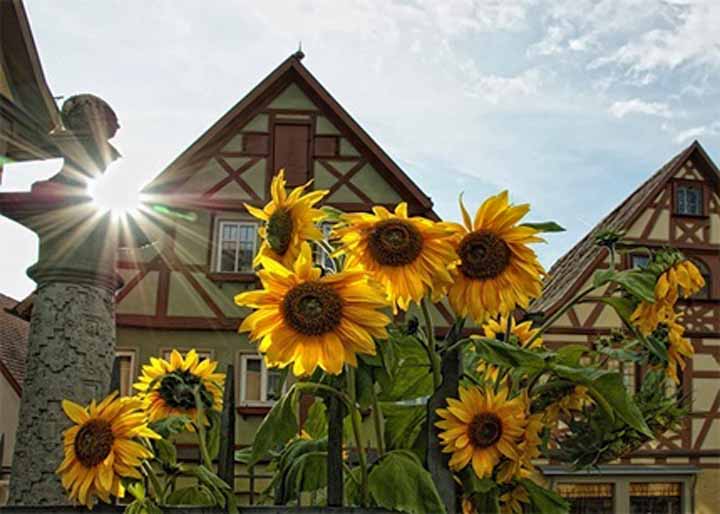 Informatie Romantische Strasse